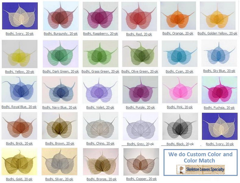Bodhi skeleton leaves - All Colors