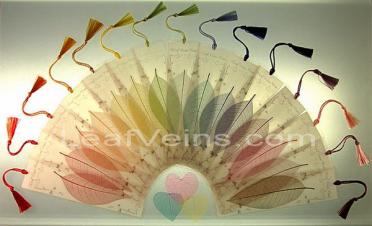 Bookmark with magnolia skeleton leaf,Transparent, Large