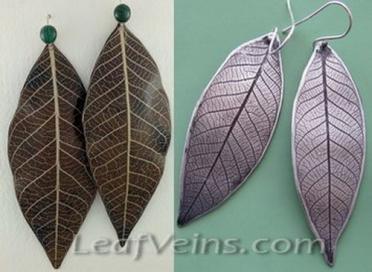 Rubber Tree Skeleton Leaf imprinting